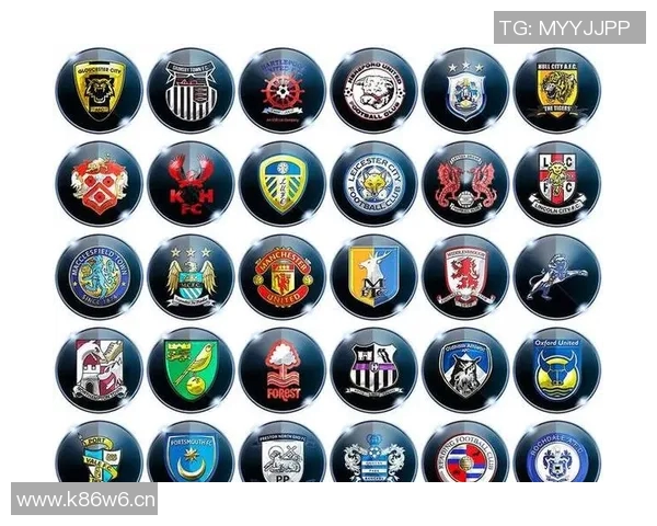 英超各球队俱乐部身价及其市场价值分析